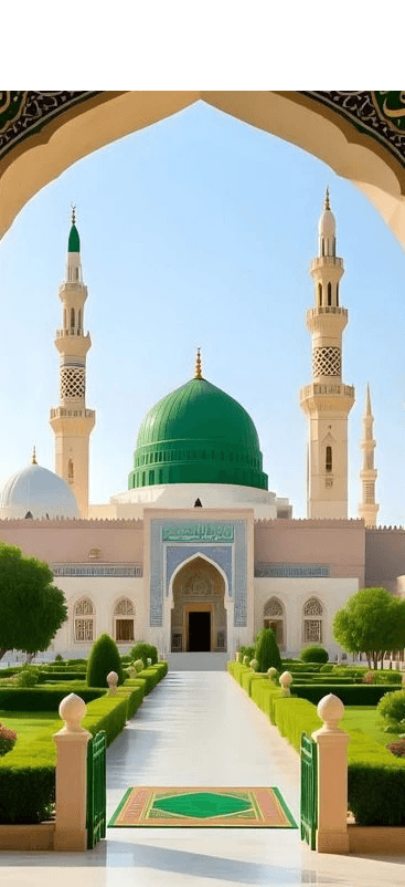 Saudi Visa package